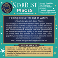 Pisces Bath Soak